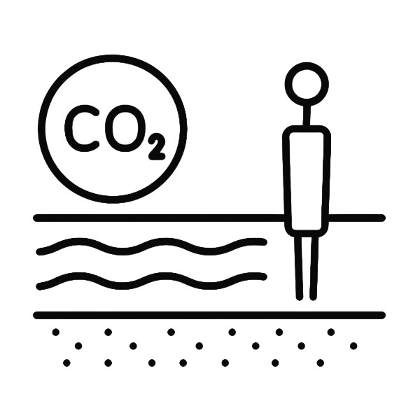 Ein Icon welches ein CO2 Wert zeigt
